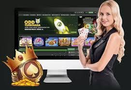 312bet4